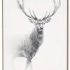 Tableau Cadre Cerf Debout (3 Tailles) -Meubles De Maison Magasin 038 1 Tableau Cadre Cerf Debout Noir Blanc Athezza Hanjel Deco Campagne Chic