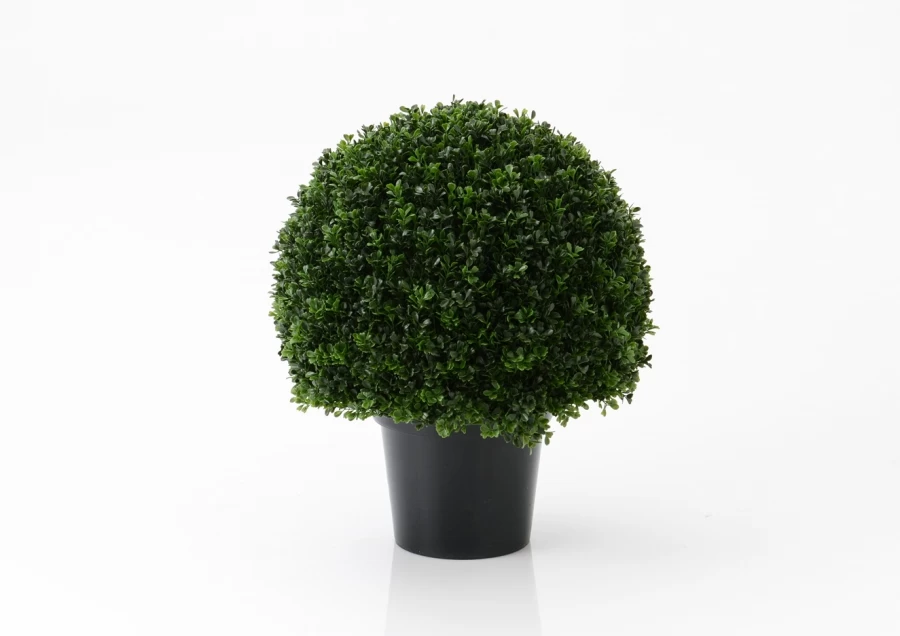 Buis Royal ø25cm 3 Buis Royal ø25cm