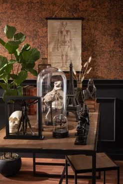 Statuette Evolution De L'Homme Bronze 68cm -Meubles De Maison Magasin 064 1 Evolution de L Homme Bronze Jolipa Jline Style Campagne 3