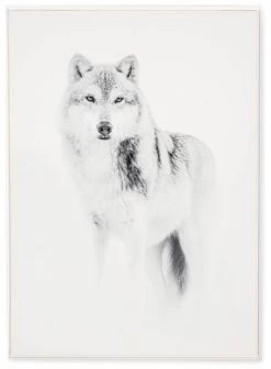 Tableau Cadre Loup (3 Tailles)