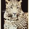 Cadre Leopard Verre 120cm -Meubles De Maison Magasin 231 1 Decoration Murale Leopard Verre Jline Jolipa Deco Campagne Chic