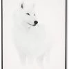 Tableau Cadre Loup Blanc (3 Tailles) 2 Tableau Cadre Loup Blanc (3 Tailles) -Meubles De Maison Magasin 567 1 Tableau Cadre Loup Blanc Athezza hanjel Deco Campagne Chic 1