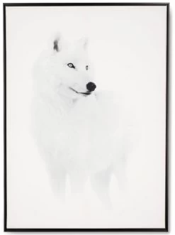Tableau Cadre Loup Blanc (3 Tailles)