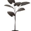 Plante Décorative Métal Marron Foncé H142cm