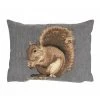 2 Coussins Gobelin Ecureuil 30x45 -Meubles De Maison Magasin 664 1 Coussin Gobelin Ecureuil 30x45 Mars More Deco Campagne Chic
