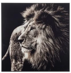 Cadre Lion Verre Trempé Carré GM