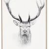 Tableau Cadre Tête De Cerf (3 Tailles) -Meubles De Maison Magasin 812 1 Tableau Cadre Tete de Cerf Noir Blanc Athezza Hanjel deco Campagne Chic