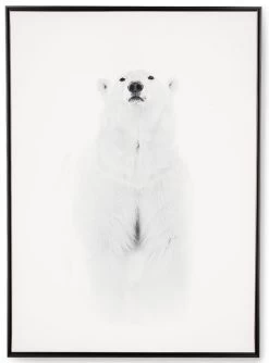 Tableau Cadre Ours Blanc (3 Tailles)
